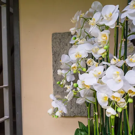 Il Basin فندق مبيت وإفطار Calliano (Piedmont)