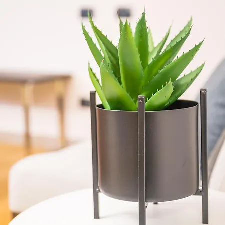 Il Basin Oda ve Kahvaltı Calliano (Piedmont)