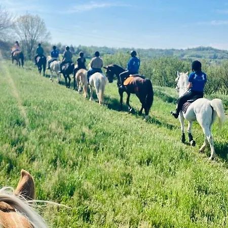 Il Basin Calliano (Piedmont)